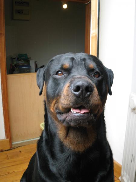 Bouba