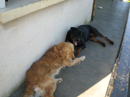 Bouba et Tina
