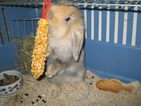 Minidou