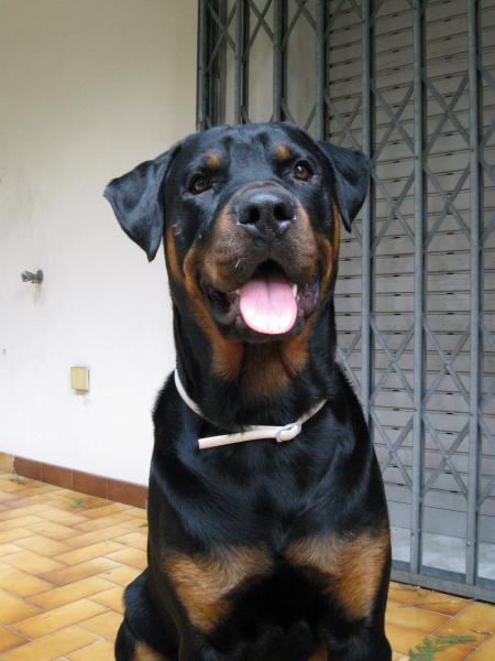Bouba