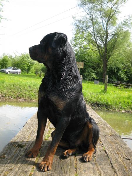 Bouba