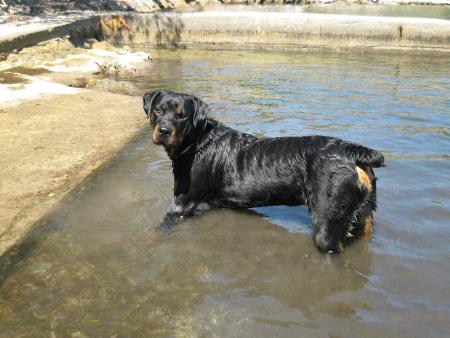 Bouba