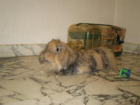 Minidou
