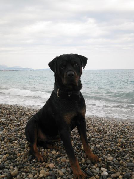 Bouba