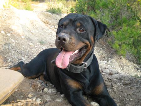Bouba