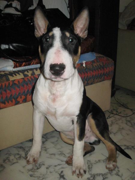 Hélios 